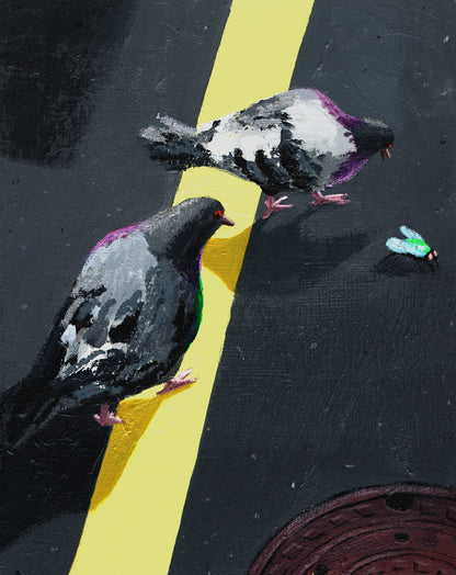 Pigeon Study