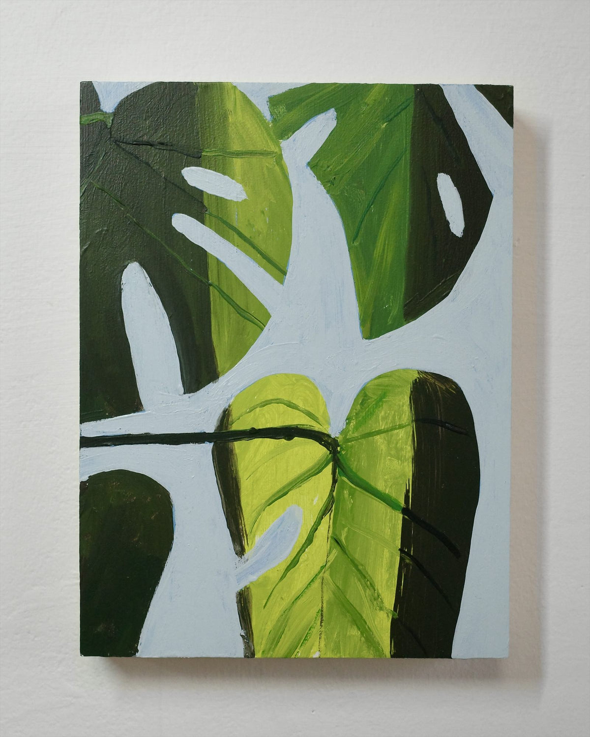 Monstera Study