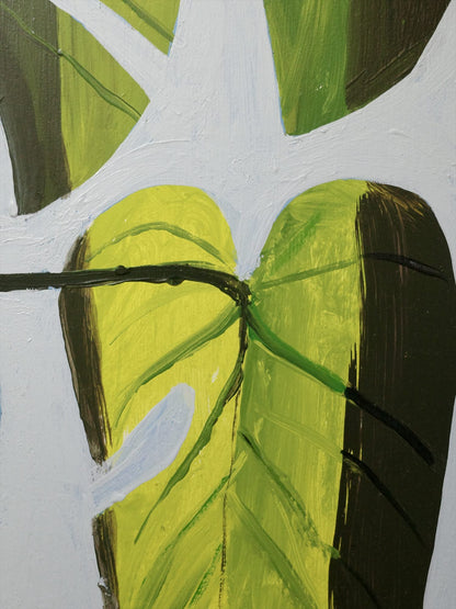 Monstera Study