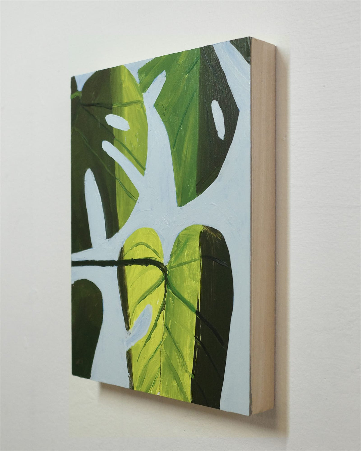 Monstera Study