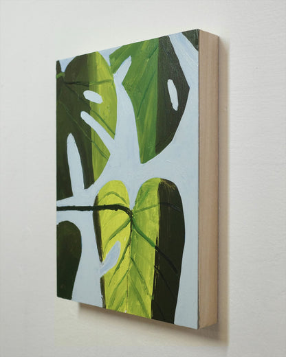 Monstera Study
