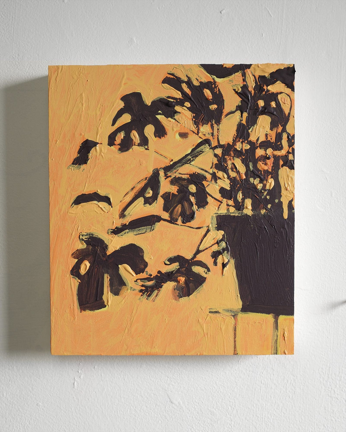 Monstera Sunset
