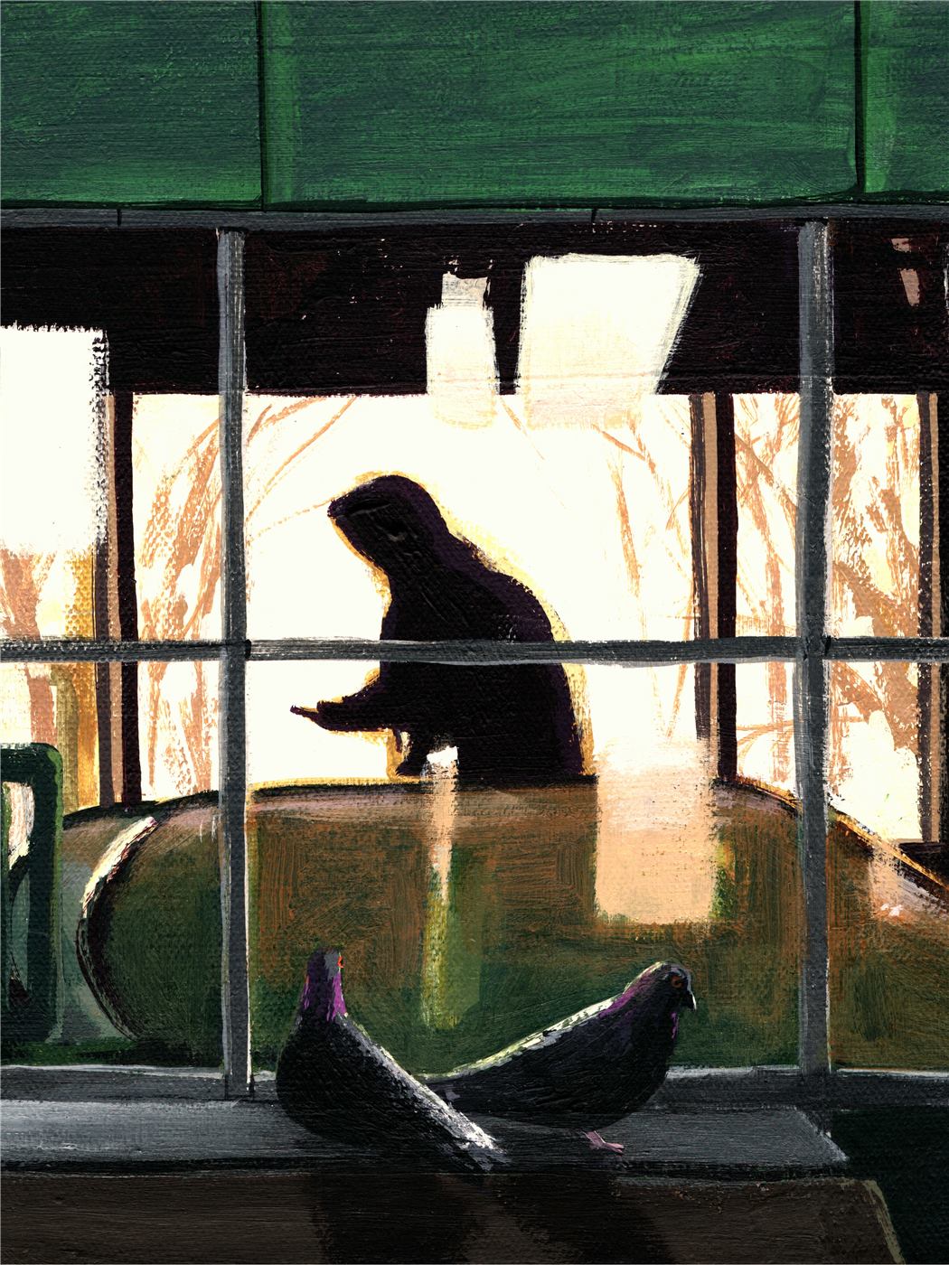 Bridgeland Station Pigeons